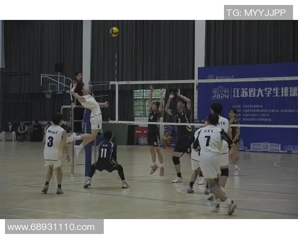 上海排球队的节奏揭秘:深度解析排球战术与团队协作的艺术